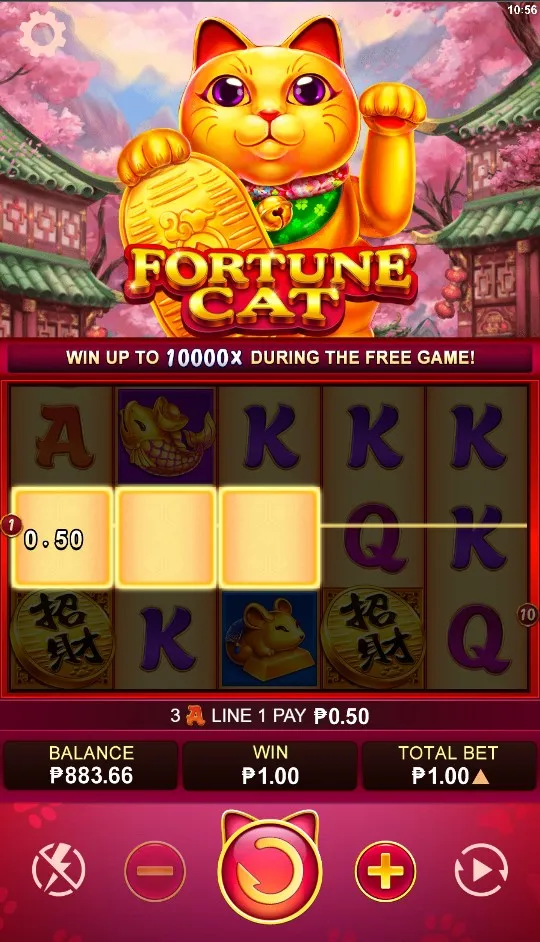Rolling Fortune