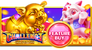 Dummy card game